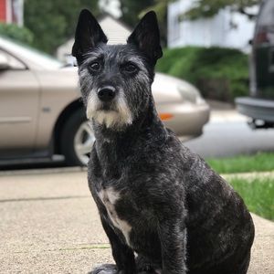 Meet your Posher, Catherine